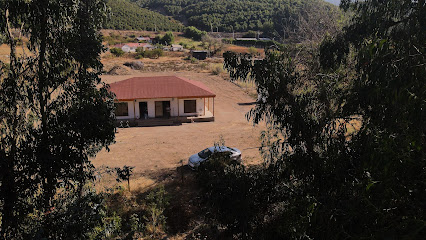 AF1QipM0Eat qDVn ynaJQ4InPMS8HL6IJ0hKcMu1Y3Vw426 h240 k no