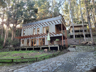 AF1QipM55CLG4Py4knANU VVXueBgGkWhwyThNDUejE8w408 h306 k no