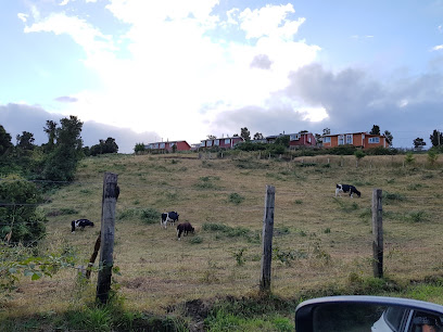 AF1QipM9Lx N5L3waVn bfaiP8ALtkXhx0As7 yFeWOvw408 h306 k no