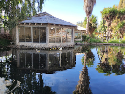 AF1QipM9n9pjSp4GNJVT 9DnEly5Mck6 e grUufJ3Hgw408 h305 k no