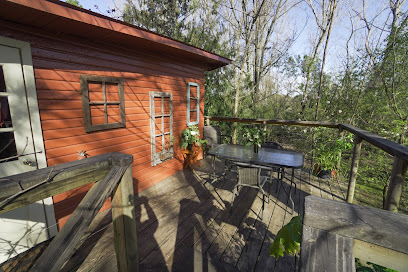 AF1QipM9npGCOj rW8RDl0SBM5an1qbpawDhDZvqpyAIw408 h272 k no