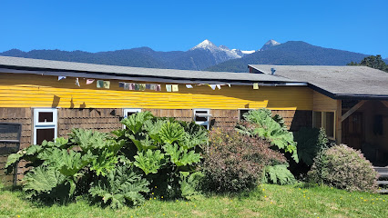 AF1QipMAJ8Z0HIr0ABekyMCzuy7xhg9Hd Q q1pqshV3w426 h240 k no