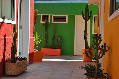 AF1QipMHJDqOYupz9xaqZ nHI1E6kXzjycj FS2 Oek4w408 h273 k no