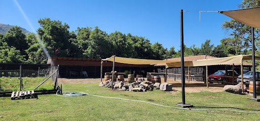 AF1QipMNXgooBsndLkuQD RzLK2qCF4IgwekPgqI8 xyw513 h240 k no