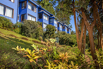 AF1QipMSHYyi4Bsjej31biTETkoxlzQ4rb4aKHxEBMGiw408 h272 k no