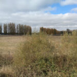 AF1QipMZYBioGqUdnTXC15a5 Y2ZirUStpC4VSMjFdyvw408 h306 k no