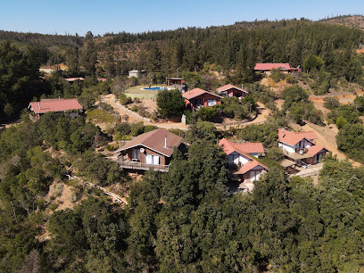 AF1QipM 3XQ3BrMV8fwIlFBk2 Xvt8CCDD4grIlE9Hrkw408 h306 k no