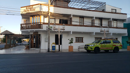 AF1QipMcNBiRAR2DMYVlZguYAtiy9Gc5a88aJFcuhKgww426 h240 k no