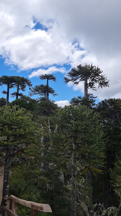 AF1QipMi4MbkwW5o2bv7j7 WA7BXvhydmb6x9Jekutipw408 h725 k no