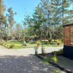 AF1QipMn5HWVVuIuX7sGxkgV32Ubmfu84VZmLakcFyXpw408 h306 k no