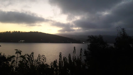 AF1QipMnE4aWPx0YfLMaQ3HYQgNt1FYfAZp6UT34k12zw426 h240 k no