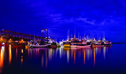 AF1QipN4Yq9k Y uVXUpfnpFpQNTSrnooVwENnRmRoqdw408 h240 k no