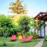 AF1QipN5AGTOXiKp 5X6iibC d2E9EOPBfrgYrvO Kpww408 h272 k no