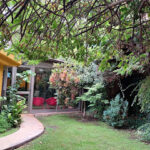 AF1QipN8Q47b Jtq3Rt7zHCBputBjxdYagznlAxpRMxmw426 h240 k no