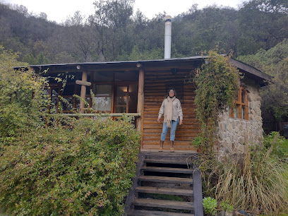 AF1QipNBr5txGOPulueTOp9s2orCn1T3WGWt1SbJJPaIw408 h306 k no