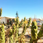 AF1QipNBtigXa9hh32UNiT7lIwbLv12lpW if AV33avw429 h240 k no