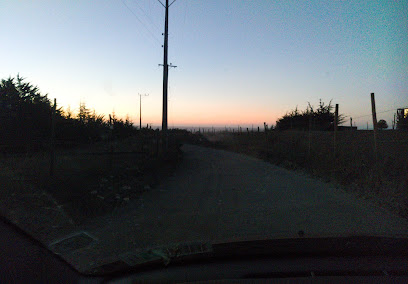 AF1QipNFkLxfSl1q9fcIjNnS tz2JhziZW6KLznWXMMw408 h284 k no