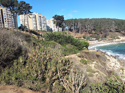 AF1QipNM2wUW7XOgU WgEcRNF vggKtr5Sh4YXI lD8w408 h306 k no