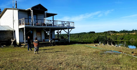 AF1QipNQyI3LzjAc1VDyn2dmry8ifqg CoNW6B72PGgIw469 h240 k no