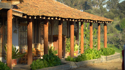 AF1QipNWbZvZT6gnCQEuvtTSa6LZPa3SpMdiY3DLjOurw426 h240 k no