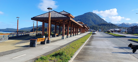 AF1QipNXgEni yYQV9kjmBQni7XViRec0SwilrrVrYWBw532 h240 k no