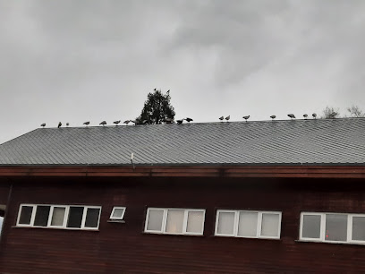 AF1QipNYSMgKyYLEmImyC1mr7v7jIDv D7KFwn2dFHwLw408 h306 k no