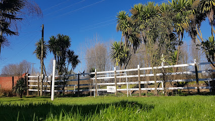 AF1QipNcKpSW91mCu1yJJWYEwqh NIxDUd8yJNEoWvS6w426 h240 k no