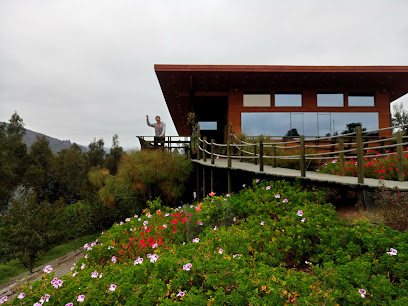 AF1QipNeOyc7M82 i2UASDolIQlXu 1SVYmEiCDV67miw408 h306 k no