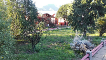 AF1QipNefQ7i yS0RVCA5O3yOzTmwTJHqRvDSPlOJIR4w426 h240 k no