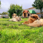 Cabaña Bulnes - Natales 6 AF1QipNgzCIZhv4YW6kjvY9kWn3gok3hHPSultdECIydw408 h544 k no