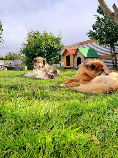 AF1QipNgzCIZhv4YW6kjvY9kWn3gok3hHPSultdECIydw408 h544 k no