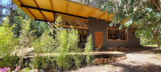 AF1QipNjRNb BWBqJgwa2zvKHUlYq A7rG2dysnE5kFnw533 h240 k no