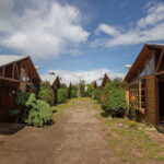 AF1QipNrA58a4dX2XabZuNJxoQvikOHJeD K9l1lOmgMw427 h240 k no