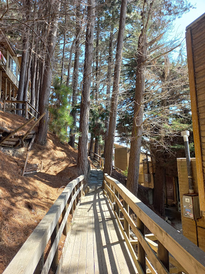 AF1QipNsth2z7jb8gF7mPTN49e9fduGGEkmhiutOKgf3w408 h544 k no