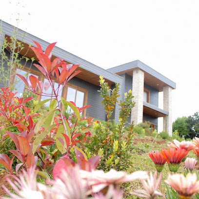 AF1QipNtp3VT0SrcX0izmv3LfldB3cD93wMXjVrArU7kw408 h408 k no