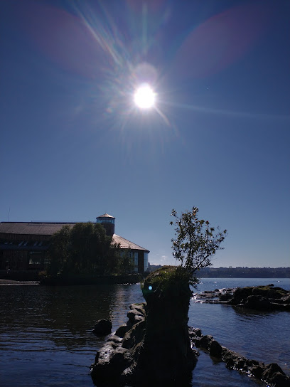 AF1QipNy ORjpLsGGDQAibDSAMLxhrPdE7QqMV80ce4w408 h544 k no