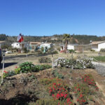 AF1QipO1LFoJnjuy fSmdvoEH71bB WGmVDVF7AH3cucw408 h306 k no