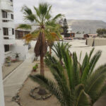 AF1QipOA20iotJOZ eXrbYhFnompg6XAbKalqQy ErCCw408 h543 k no