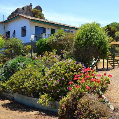 AF1QipOAsy9 WFkeML0SCxdJbcGY Pz9WIw5ZfU8 18 w408 h408 k no