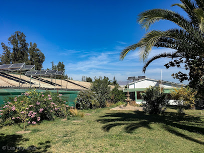 AF1QipOG1e01OQv5L2TF RN7kqhxOUZBzzFiIuMVx6xdw408 h306 k no