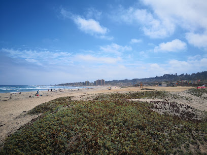 AF1QipOaQvI1JVUQCzey1mADBjLd3Bn31tRPfTmmGLRbw408 h306 k no