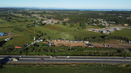 AF1QipOc6hJ0V3lfZ1y3xJPHbQVsuNCQV1U0zKKhCIpNw426 h240 k no