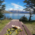 Hostal Nancy - Natales 13 AF1QipOcqpZlBupaq2G6TB3w85Yf81KsNZb0ZNXQCtUvw408 h543 k no