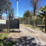 AF1QipOgF l gVDKEJqzOha7hJetaX ku7AW5nnd6bt3w408 h544 k no