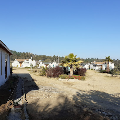 AF1QipOhUeUDSTAtqbGZjZX XvnKAIeavVOdzdAjmw w408 h408 k no