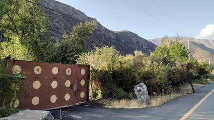 AF1QipOmu8EINvnzXdFx1L qRcSPrJ8OnRQ2aZZbarL5w426 h240 k no