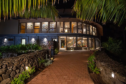 AF1QipOnBONtKMQ iwiBDnGZhfznG9Bx5 iWGrZuKo68w408 h272 k no