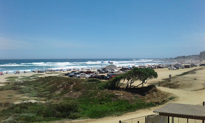 AF1QipOrbTiEP O3E01OirwjhVa2rgmu2zidIs6pOdbew408 h244 k no