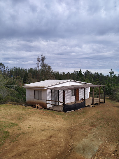 AF1QipOv8MucumDH852HORp5AKXEvEPeScYOMjUUh R3w408 h544 k no