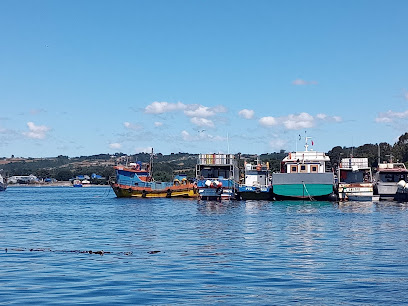 AF1QipP7sqW0SLlOmwDNqxPzqP Qo6OudHVFrnIwetwfw408 h306 k no